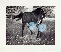 (&copy; Leonora Fredriksson)