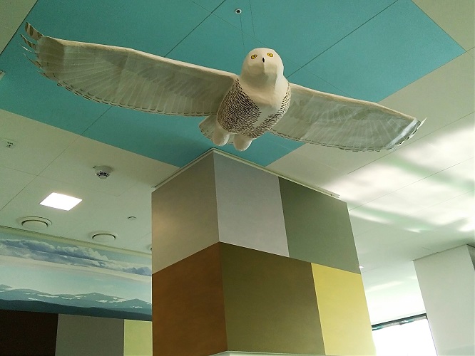 Korpi, lehto, tunturi