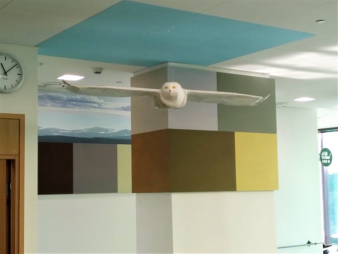 Korpi, lehto, tunturi