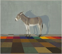 Aasin v&auml;rioppi (&copy; Leonora Fredriksson)